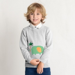 Cute boys Cartoon Elephant Crew Neck Sweatshirts Cotton Knit Tops for Kids